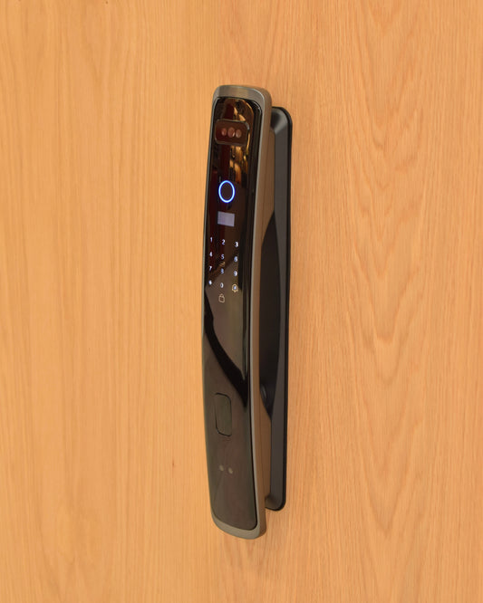 Serratura biometrica SM-19
